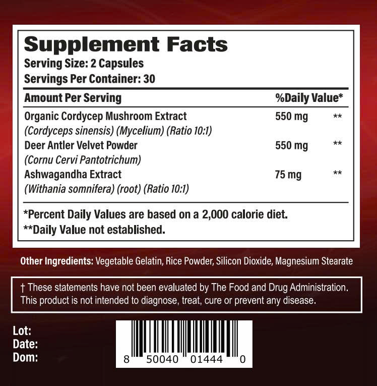 Nature Gift Goodchoice's Life Shield Cordyceps Plus - Image 4